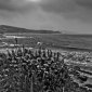Corniche Basque IV