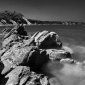 Cote Basque II